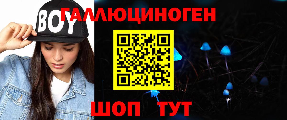 Псилоцибиновые грибы мухоморы  что такое наркотик  Вход с VPN  Зеленодольск  Псилоцибиновые грибы мухоморы 